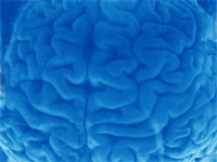 human-brain-01.jpg