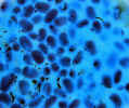 medical0527_small.jpg